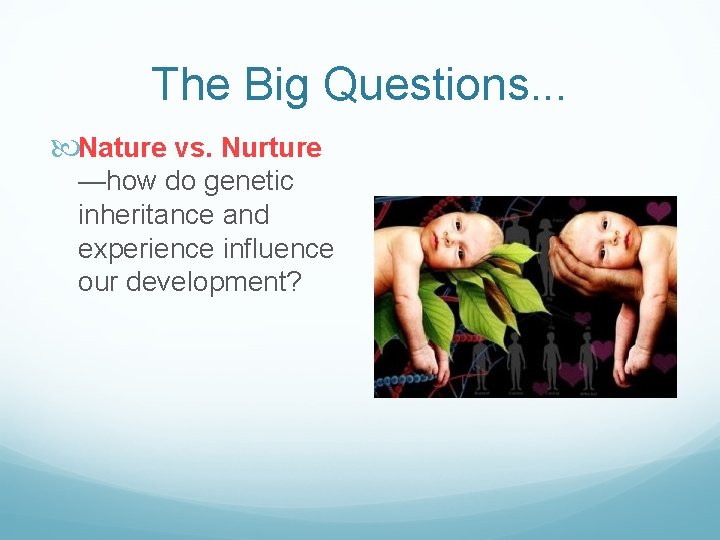 The Big Questions. . . Nature vs. Nurture —how do genetic inheritance and experience