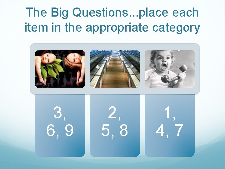 The Big Questions. . . place each item in the appropriate category 3, 6,