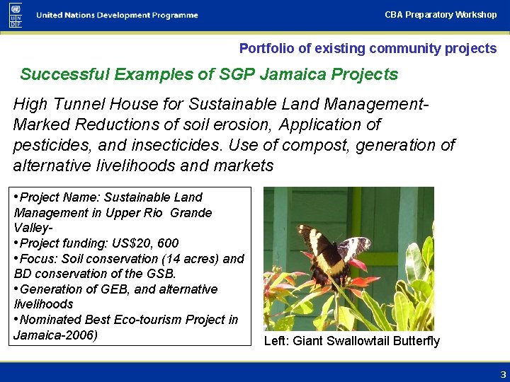 CBA Preparatory Workshop Portfolio of existing community projects Successful Examples of SGP Jamaica Projects