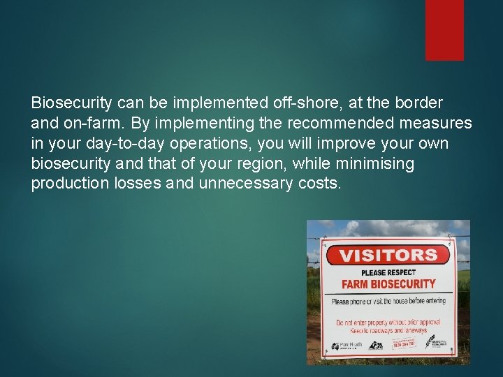 Biosecurity can be implemented off-shore, at the border and on-farm. By implementing the recommended