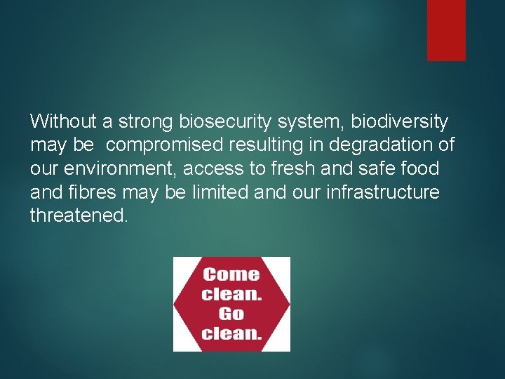 Without a strong biosecurity system, biodiversity may be compromised resulting in degradation of our