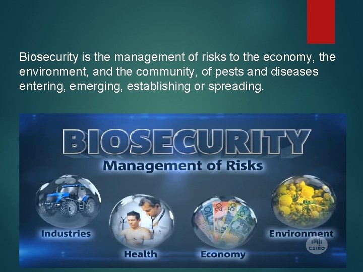 Biosecurity is the management of risks to the economy, the environment, and the community,