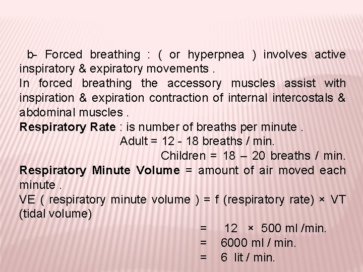 b- Forced breathing : ( or hyperpnea ) involves active inspiratory & expiratory movements.