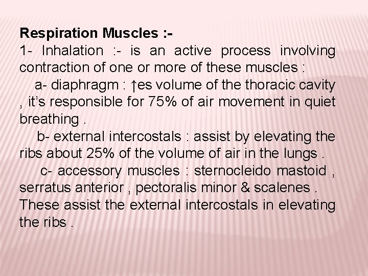 Respiration Muscles : 1 - Inhalation : - is an active process involving contraction