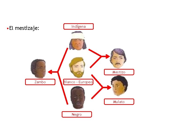 • El mestizaje: Indígena Mestizo Zambo Blanco - Europeo Mulato Negro 