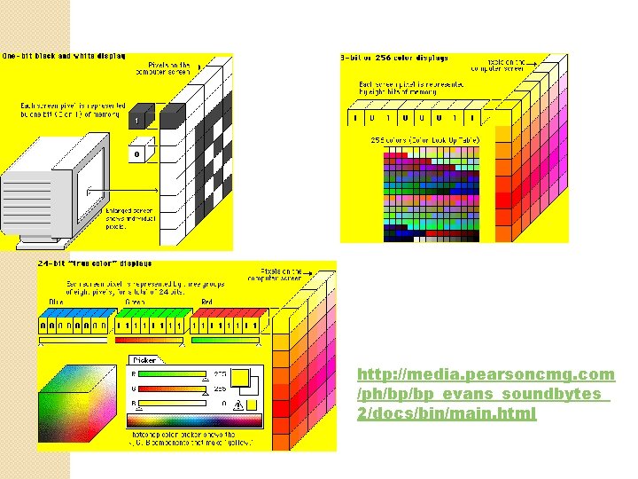 http: //media. pearsoncmg. com /ph/bp/bp_evans_soundbytes_ 2/docs/bin/main. html http: //media. pearsoncmg. com /ph/bp/bp_evans_soundbytes_ 2/docs/bin/main. html