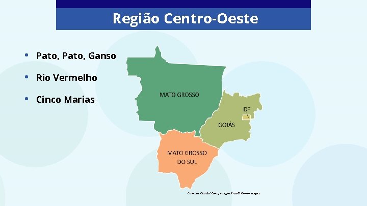 Região Centro-Oeste • Pato, Ganso • Rio Vermelho • Cinco Marias Coleção: i. Stock