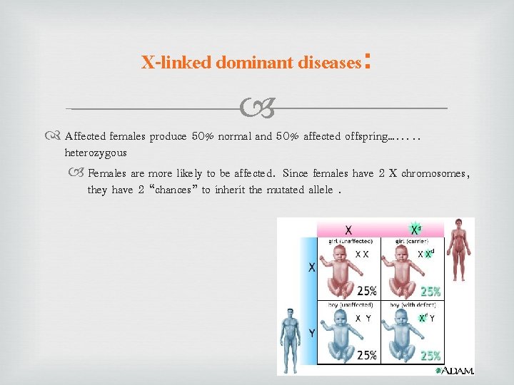 X-linked dominant diseases: Affected females produce 50% normal and 50% affected offspring……. . heterozygous