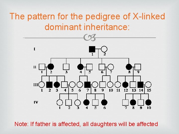 The pattern for the pedigree of X-linked dominant inheritance: Note: If father is affected,