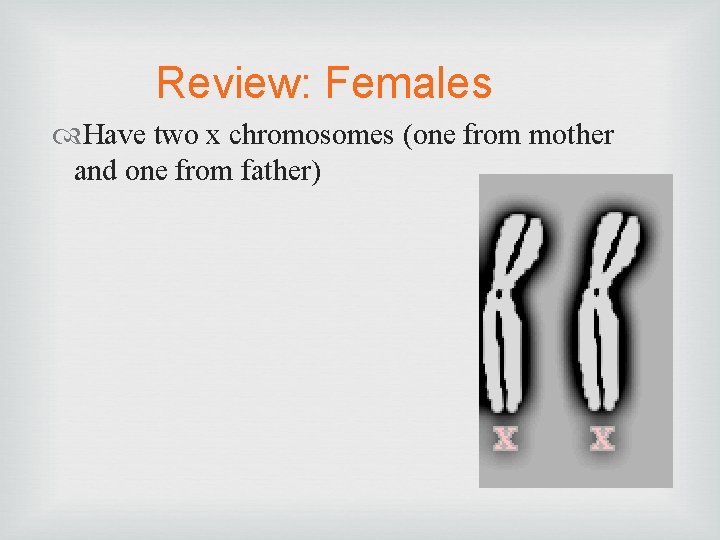 Review: Females Have two x chromosomes (one from mother and one from father) 
