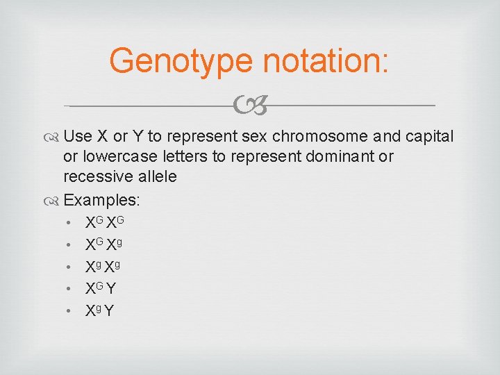 Genotype notation: Use X or Y to represent sex chromosome and capital or lowercase