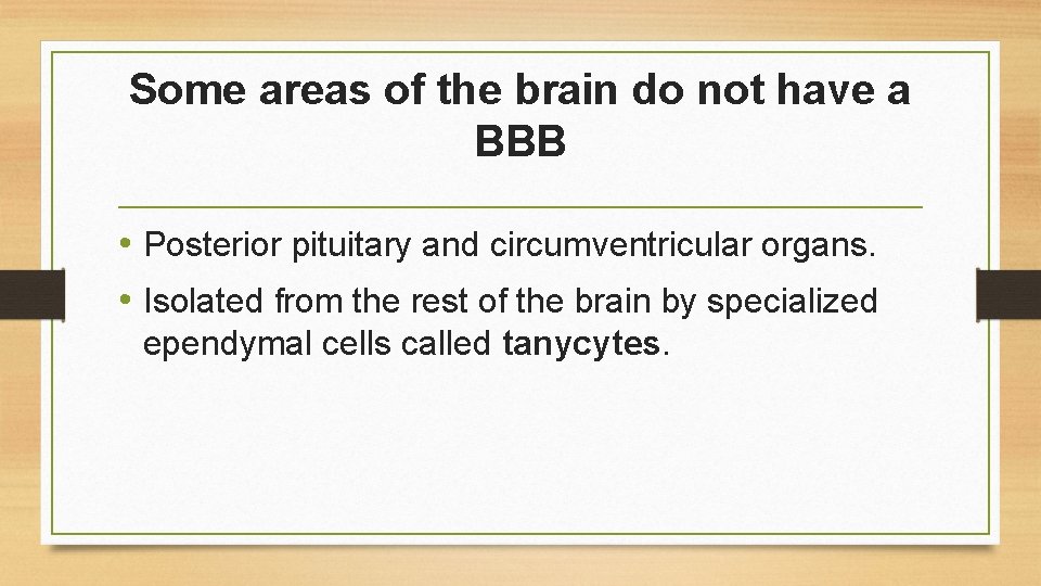 Some areas of the brain do not have a BBB • Posterior pituitary and