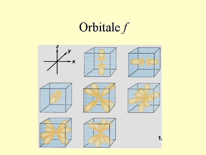 Orbitale f 