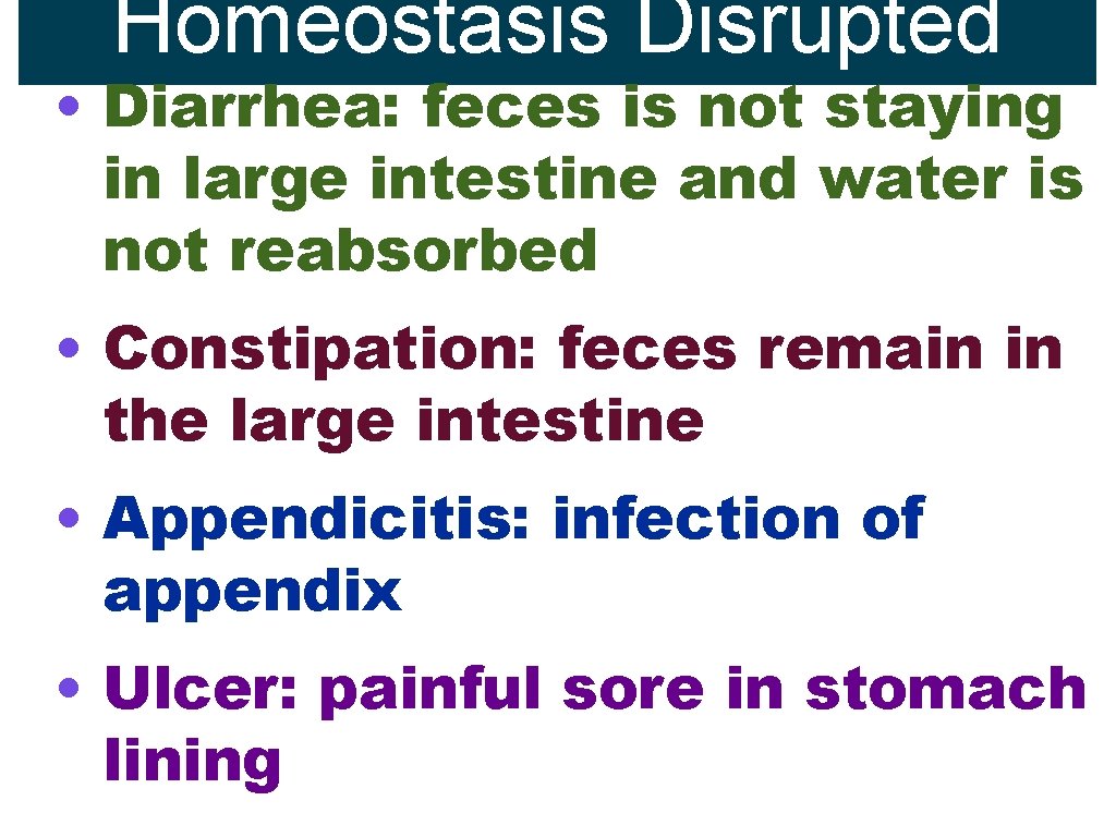 Homeostasis Disrupted • Diarrhea: feces is not staying in large intestine and water is