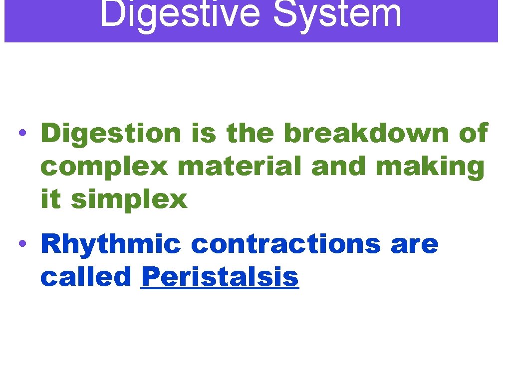 Digestive System • Digestion is the breakdown of complex material and making it simplex