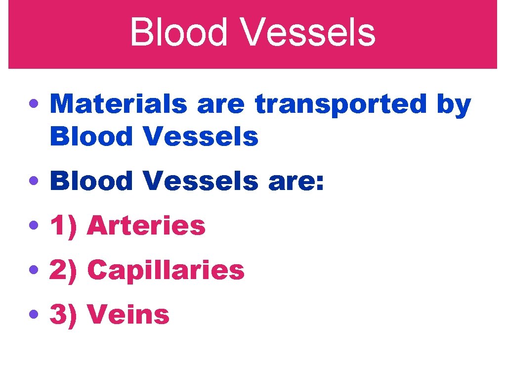 Blood Vessels • Materials are transported by Blood Vessels • Blood Vessels are: •