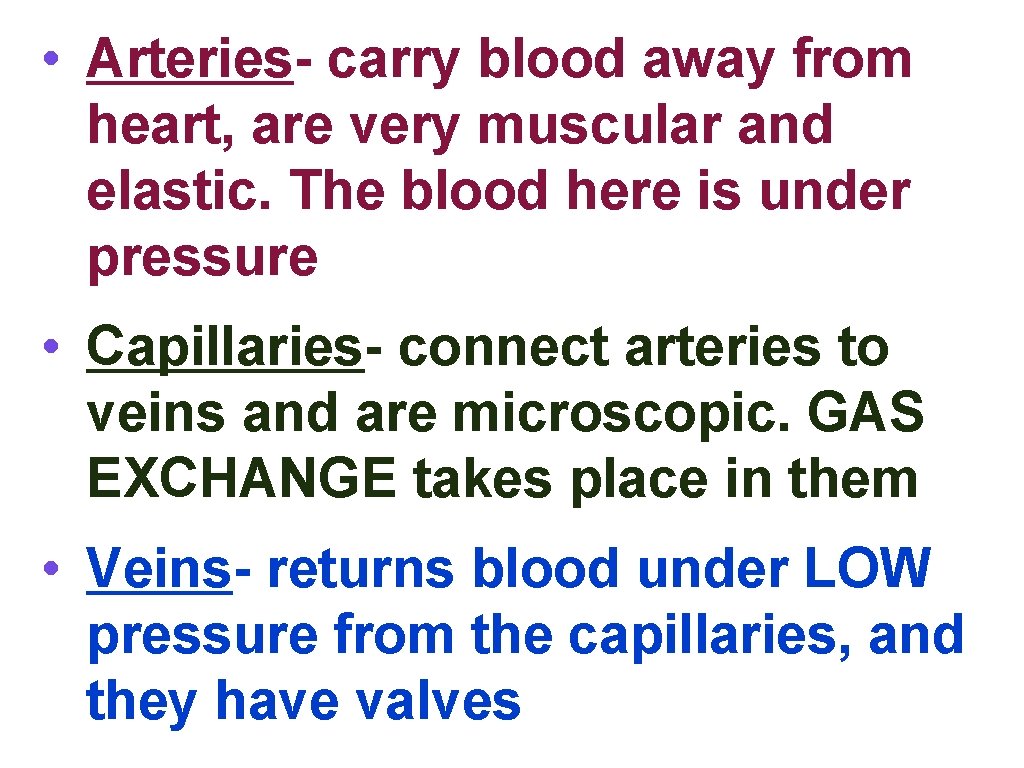  • Arteries- carry blood away from heart, are very muscular and elastic. The