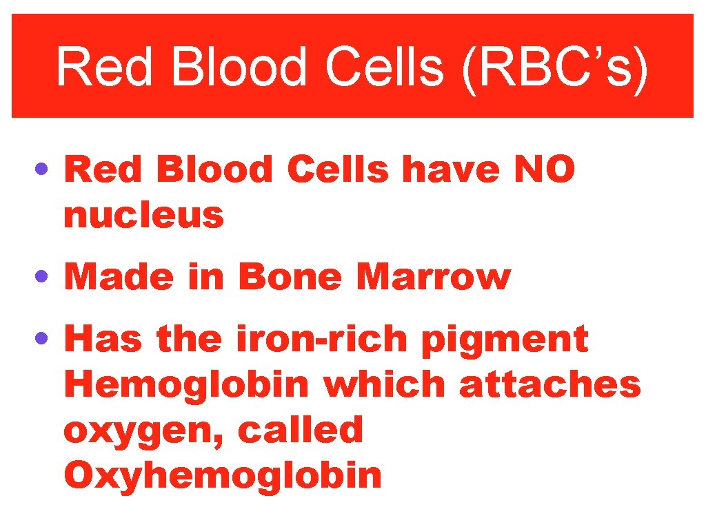 Red Blood Cells (RBC’s) • Red Blood Cells have NO nucleus • Made in