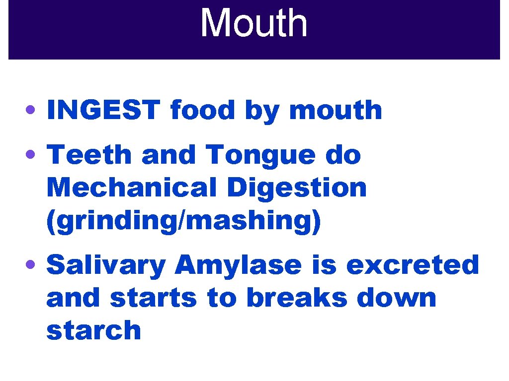 Mouth • INGEST food by mouth • Teeth and Tongue do Mechanical Digestion (grinding/mashing)