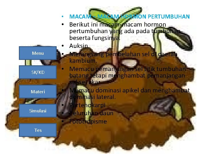  • MACAM – MACAM HORMON PERTUMBUHAN Menu SK/KD Materi Simulasi Tes • Berikut