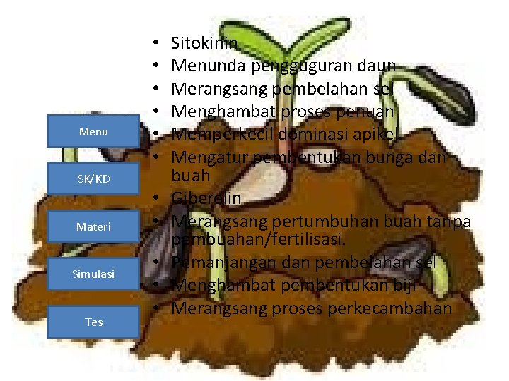 Menu • • • SK/KD Materi Simulasi Tes • • • Sitokinin Menunda pengguguran