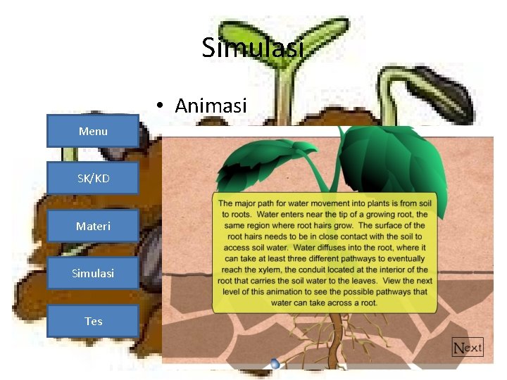 Simulasi • Animasi Menu SK/KD Materi Simulasi Tes 