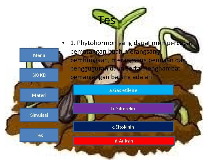 Tes Menu SK/KD Materi • 1. Phytohormon yang dapat mempercepat pematangan buah, merangsang pembungaan,