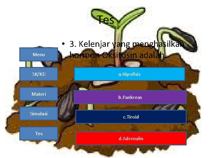 Tes Menu SK/KD Materi Simulasi Tes • 3. Kelenjar yang menghasilkan hormon Oksitosin adalah