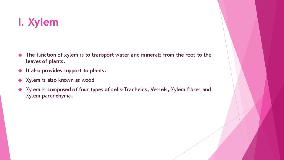 I. Xylem The function of xylem is to transport water and minerals from the