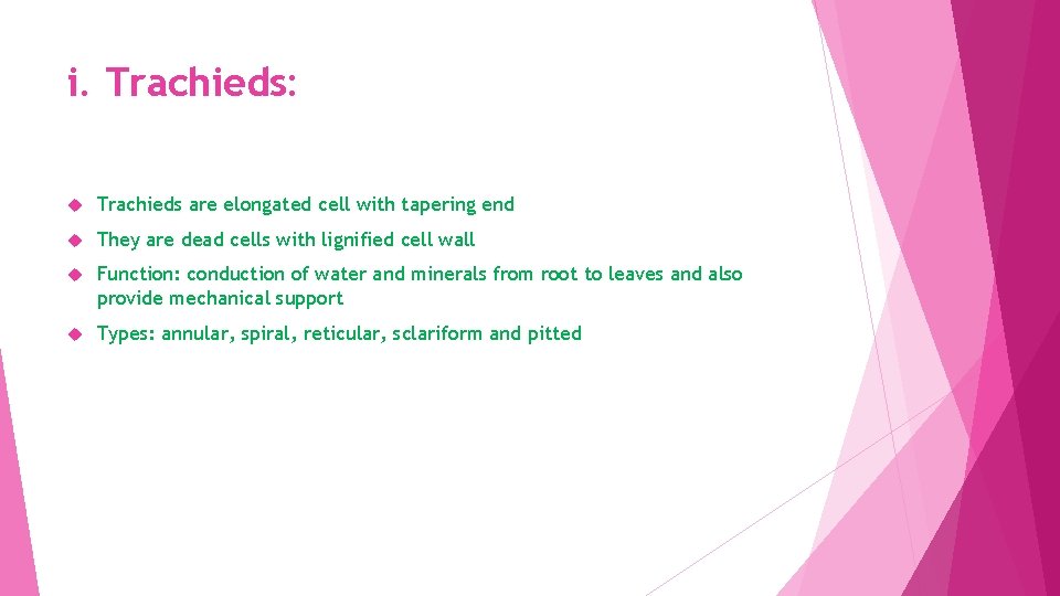 i. Trachieds: Trachieds are elongated cell with tapering end They are dead cells with