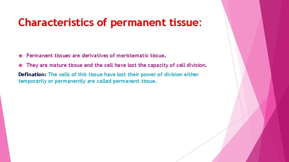 Characteristics of permanent tissue: Permanent tissues are derivatives of meristematic tissue. They are mature