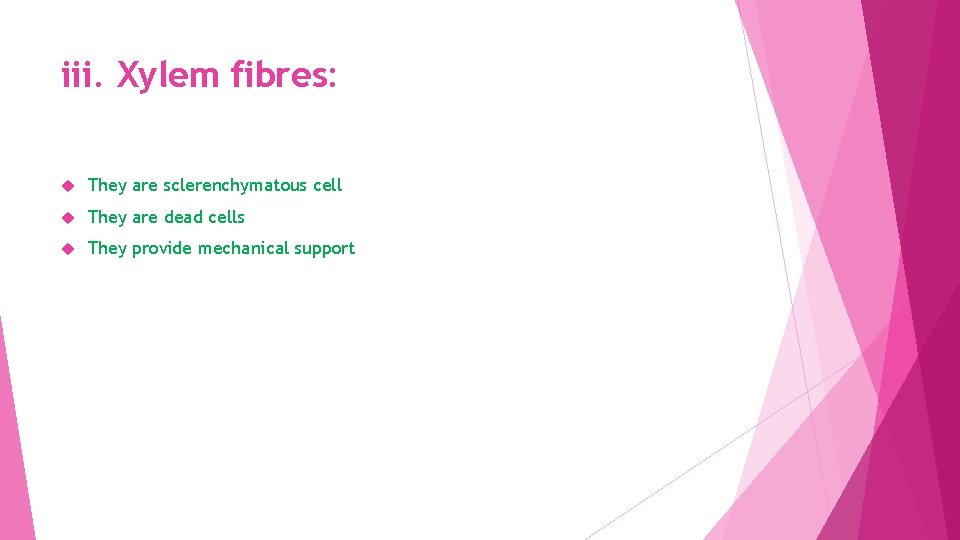 iii. Xylem fibres: They are sclerenchymatous cell They are dead cells They provide mechanical