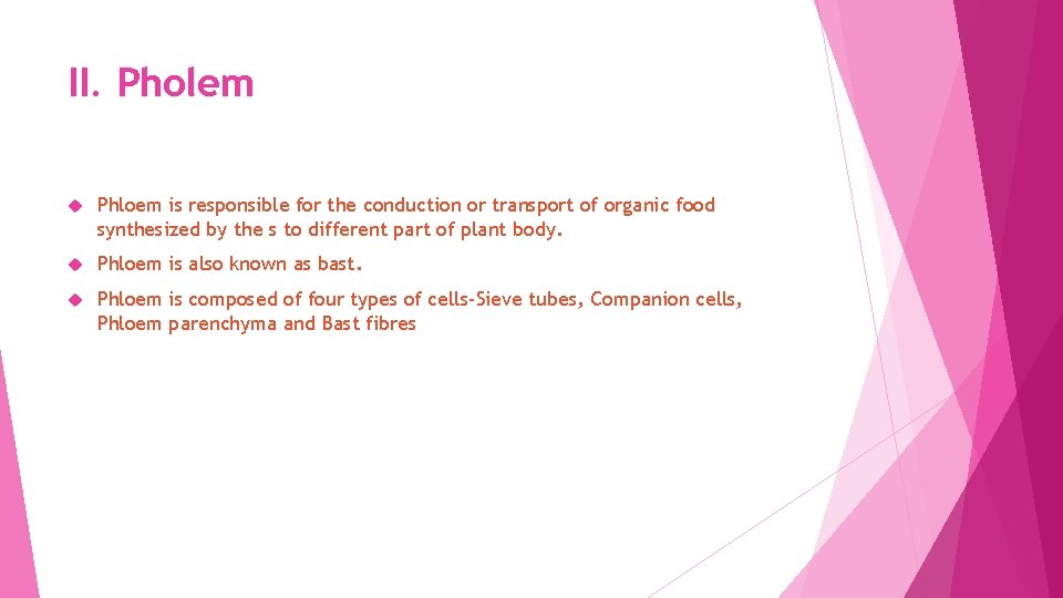 II. Pholem Phloem is responsible for the conduction or transport of organic food synthesized