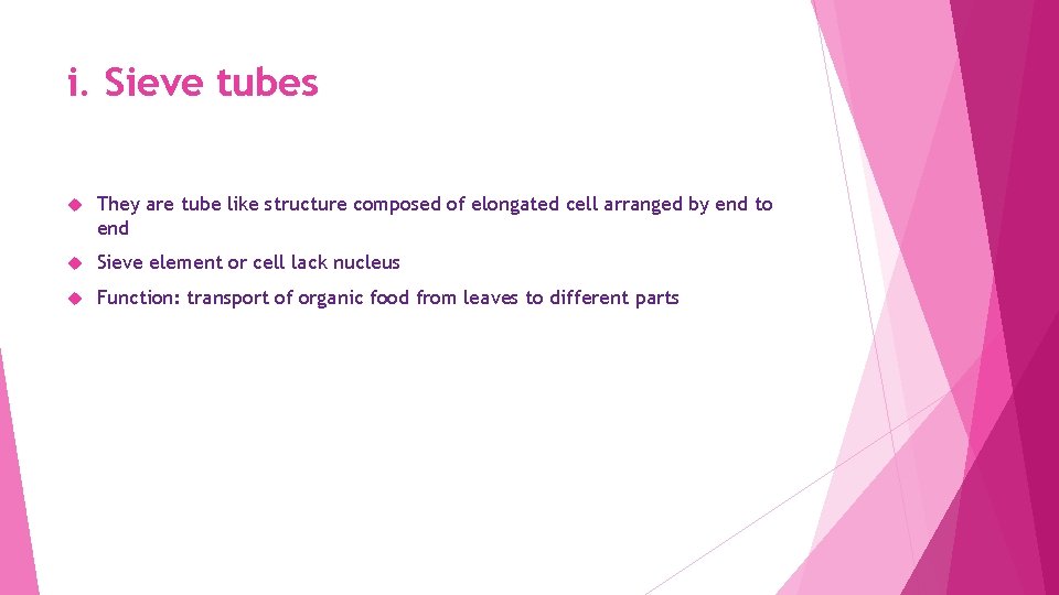 i. Sieve tubes They are tube like structure composed of elongated cell arranged by