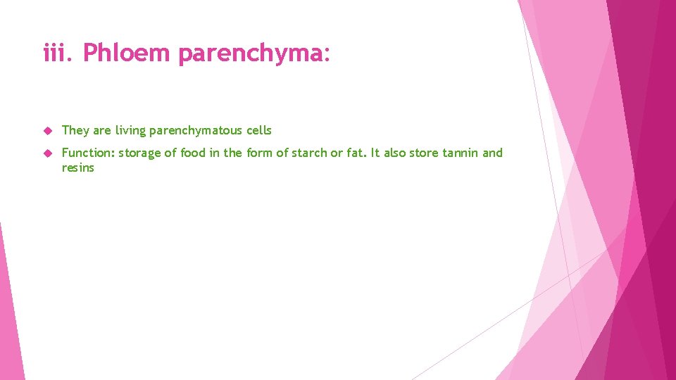 iii. Phloem parenchyma: They are living parenchymatous cells Function: storage of food in the