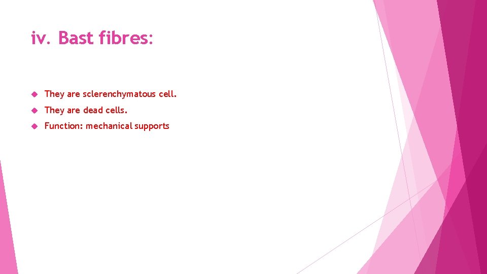 iv. Bast fibres: They are sclerenchymatous cell. They are dead cells. Function: mechanical supports