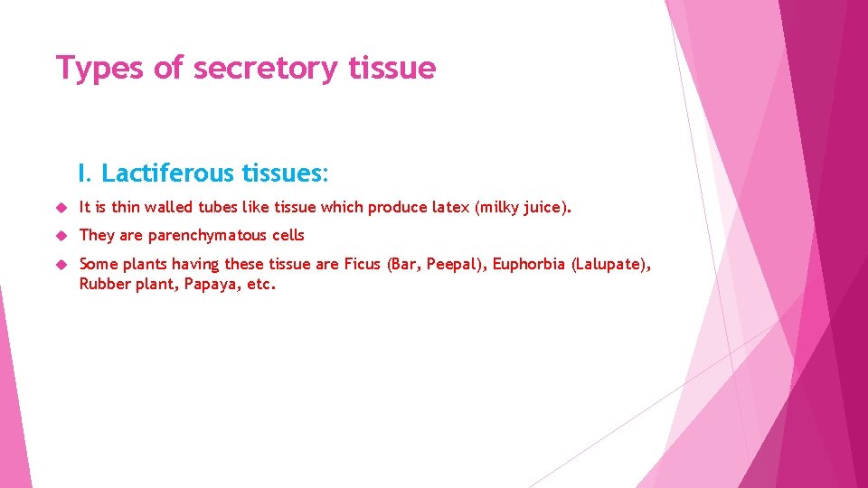 Types of secretory tissue I. Lactiferous tissues: It is thin walled tubes like tissue