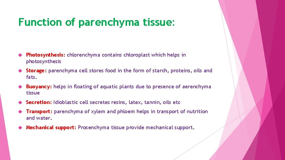 Function of parenchyma tissue: Photosynthesis: chlorenchyma contains chloroplast which helps in photosynthesis Storage: parenchyma
