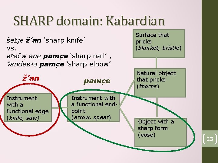 SHARP domain: Kabardian ŝeẑje ž’an ‘sharp knife’ vs. ʁʷəčw əne pamc e ‘sharp nail’