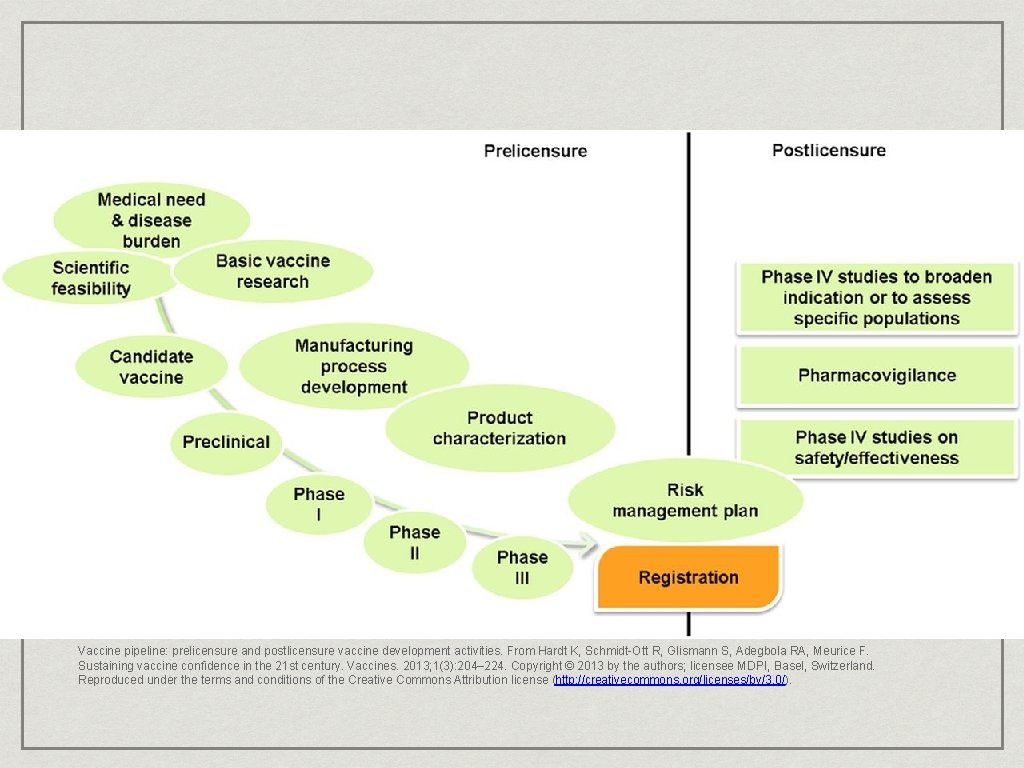 Vaccine pipeline: prelicensure and postlicensure vaccine development activities. From Hardt K, Schmidt-Ott R, Glismann