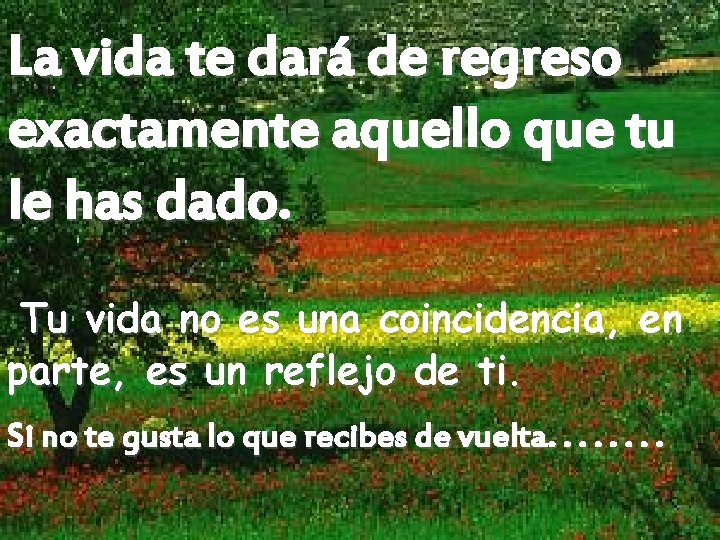 La vida te dará de regreso exactamente aquello que tu le has dado. Tu