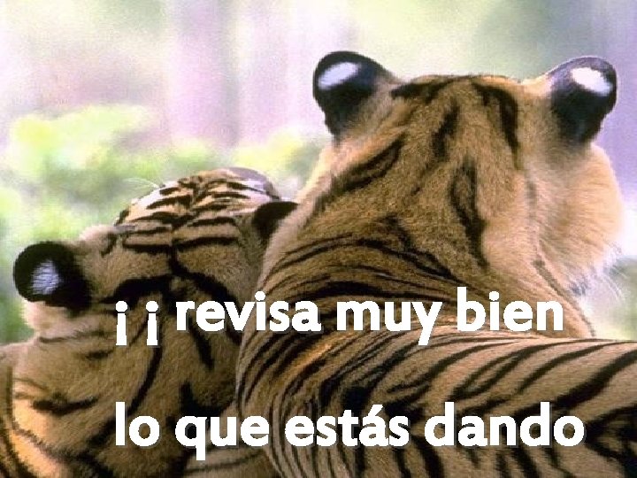 ¡ ¡ revisa muy bien lo que estás dando 