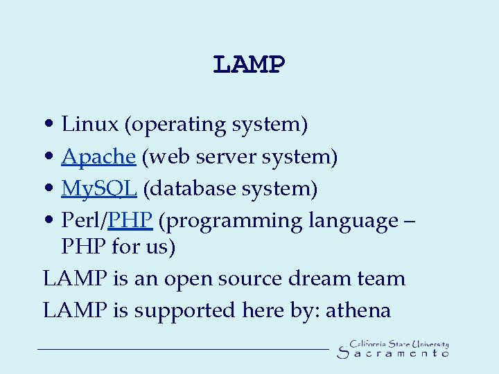 LAMP • Linux (operating system) • Apache (web server system) • My. SQL (database