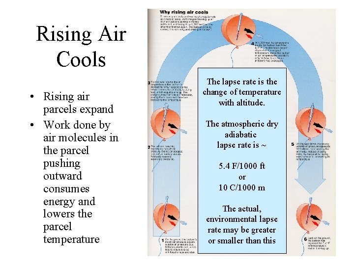Rising Air Cools • Rising air parcels expand • Work done by air molecules