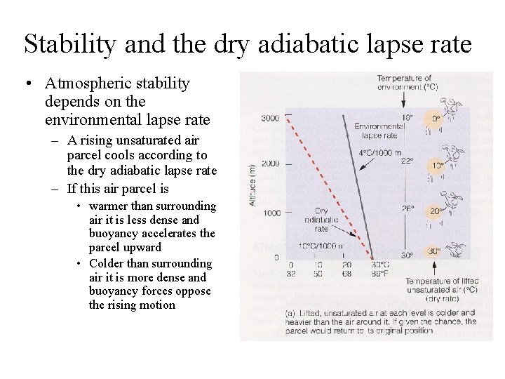 Stability and the dry adiabatic lapse rate • Atmospheric stability depends on the environmental
