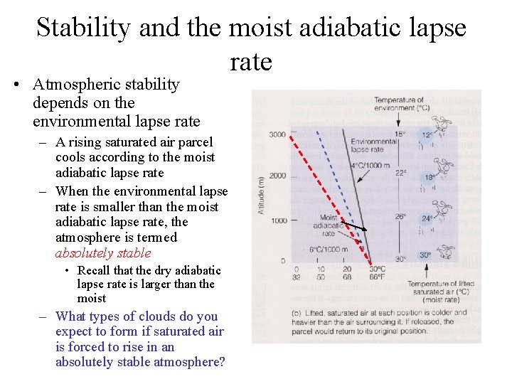 Stability and the moist adiabatic lapse rate • Atmospheric stability depends on the environmental