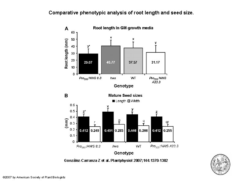 Comparative phenotypic analysis of root length and seed size. González-Carranza Z et al. Plantphysiol