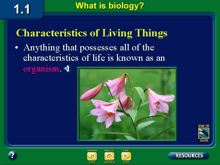 Characteristics of Living Things • Anything that possesses all of the characteristics of life