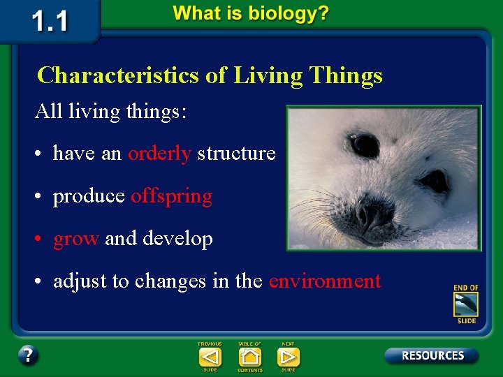 Characteristics of Living Things All living things: • have an orderly structure • produce