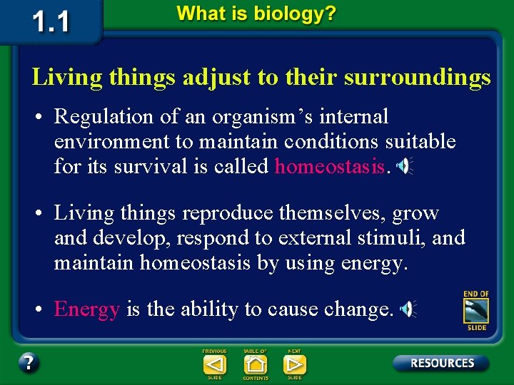 Living things adjust to their surroundings • Regulation of an organism’s internal environment to
